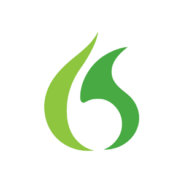 Nuance Dragon Professional