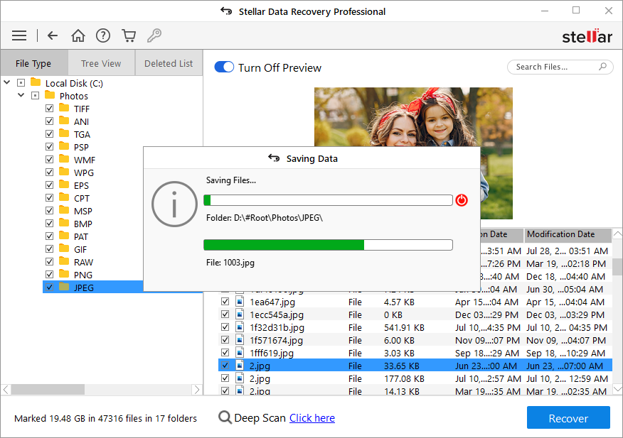 Stellar Data Recovery Pro