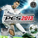 <span class='wpmi-mlabel'>Pro Evolution Soccer 2013</span>