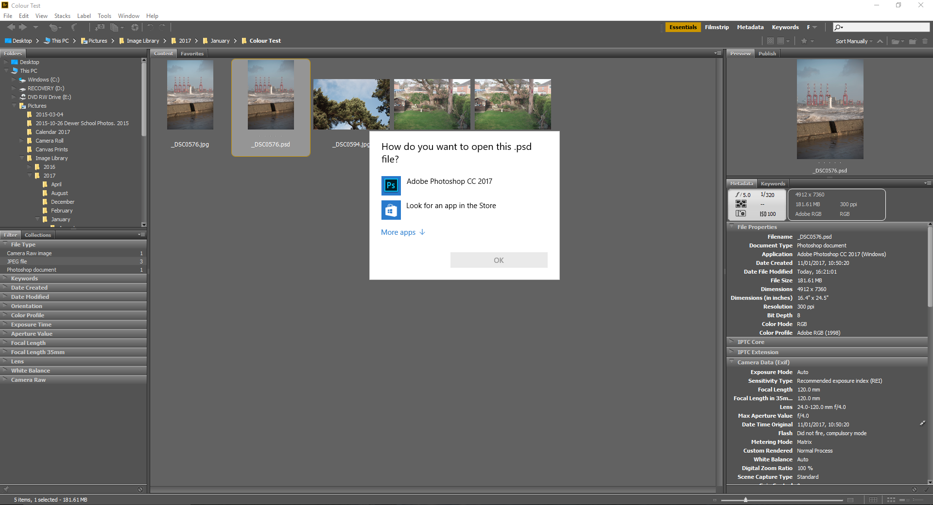 Adobe Bridge CC 2017 Free Download
