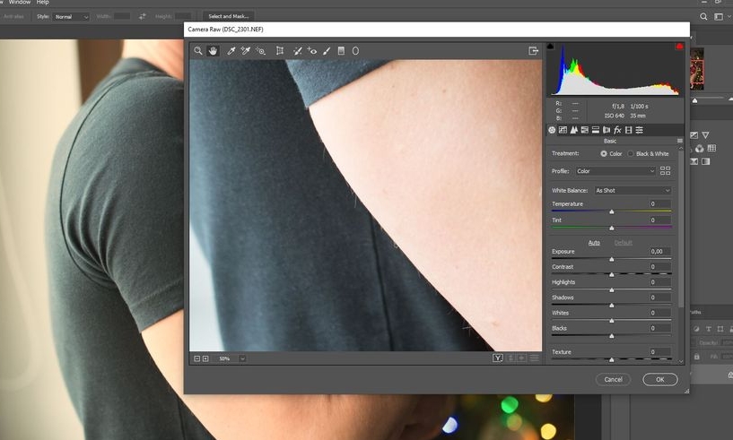 Adobe Camera Raw 2022