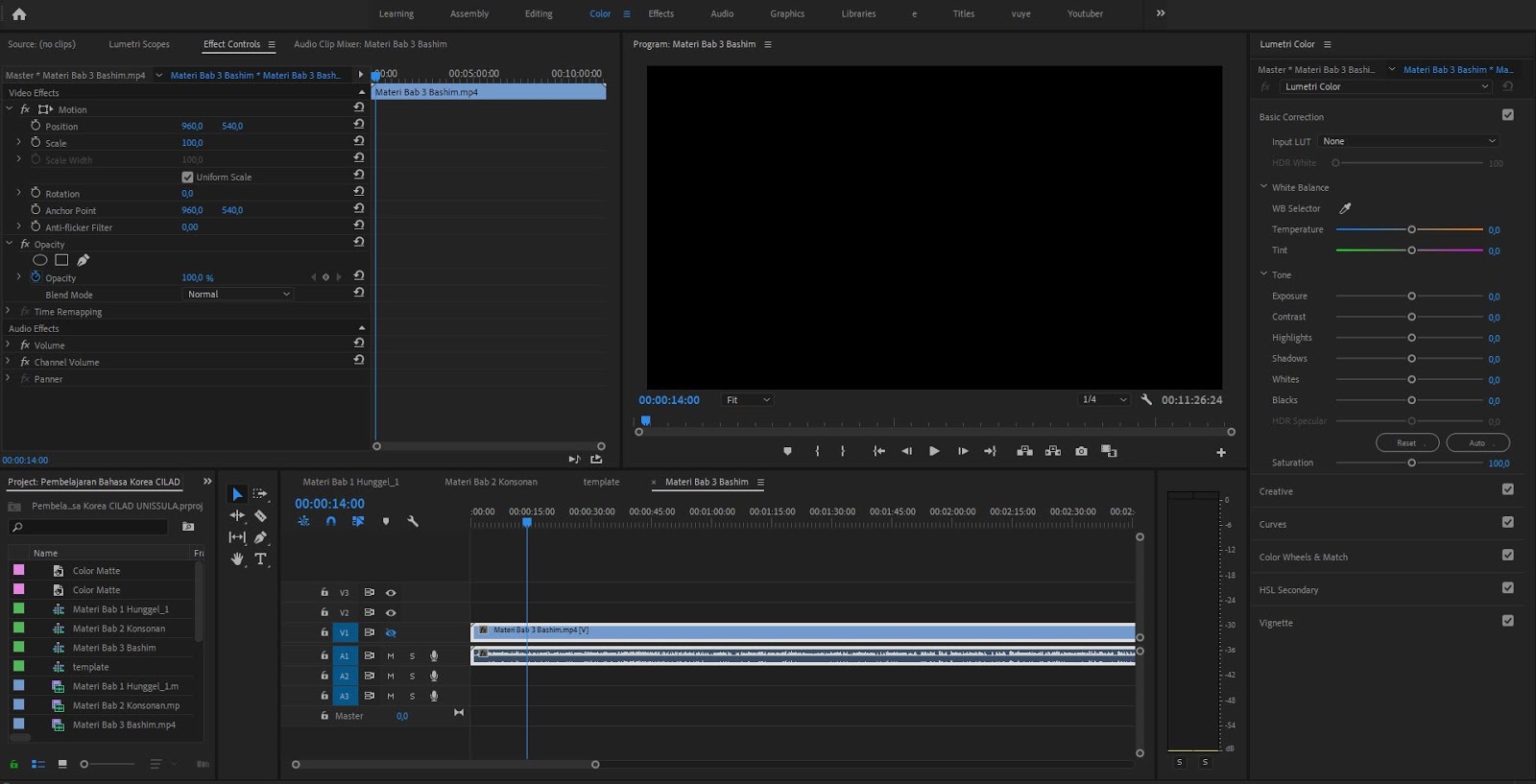 Adobe Premiere Pro 2021 
