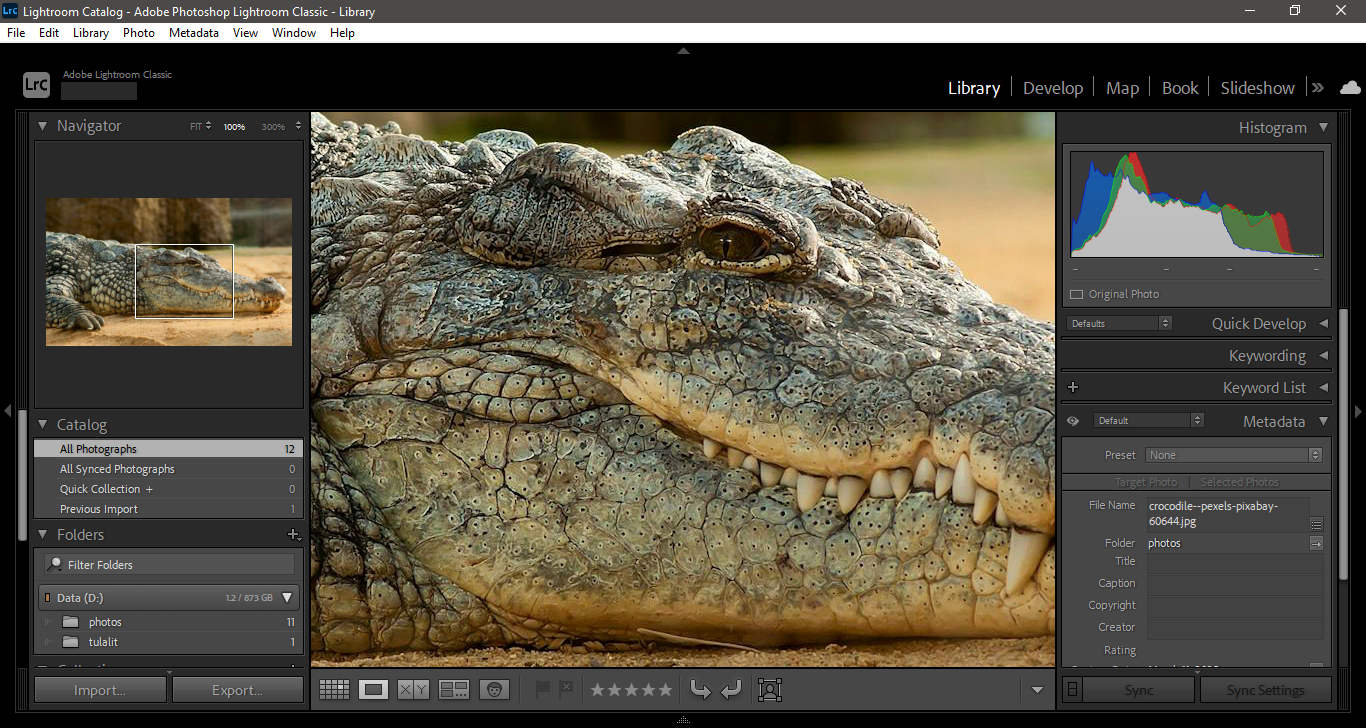 Adobe Lightroom Classic 2025
