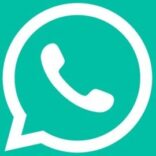 Fouad WhatsApp