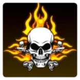 Panel FF Max