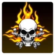 Panel FF Max