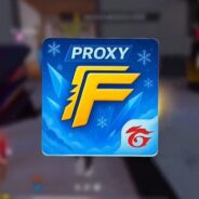 Winter Proxy
